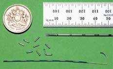 Image showing the radioactive brachtherapy seeds next to a £1 coin